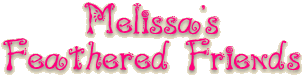Welcome to Melissa's Feathered Friends Page